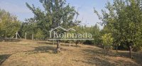 Nekretnina: Plac u Nemenikućama, Kosmaj, Sopot ID#6726