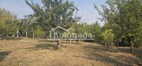Nekretnina: Plac u Nemenikućama, Kosmaj, Sopot ID#6726