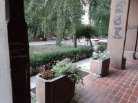 Nekretnina: Izdavanje: Lokal-poslovni prostor, Donji Dorćol, Dunavski kej, Dorćol Marina