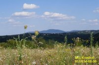 Nekretnina: Barajevo, Beljina - Karađorđeva, 63.31a