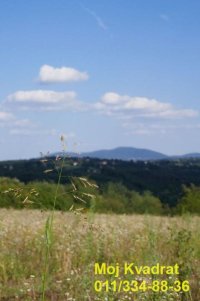 Nekretnina: Barajevo, Beljina - Karađorđeva, 63.31a