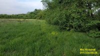 Nekretnina: Obrenovac, Draževac - Potes Lug do puta, 54.73a