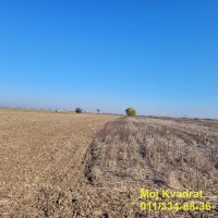 Nekretnina: Surčin - Jakovo, 329.27a