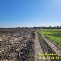 Nekretnina: Surčin - Jakovo, 329.27a