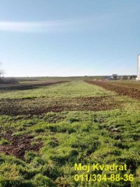 Nekretnina: Surčin, Jakovo - Boljevačka, plac 103.66 ari