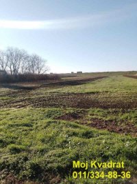 Nekretnina: Surčin, Jakovo - Boljevačka, plac 103.66 ari