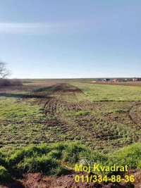 Nekretnina: Surčin, Jakovo - Boljevačka, plac 103.66 ari