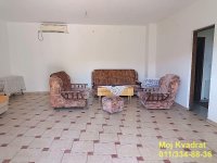Nekretnina: Palilula, Borča - Popova bara nova 210. - 151m2