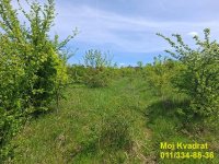 Nekretnina: Čukarica - Rušanj, plac 88.84a