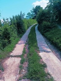 Nekretnina: Plac u Dumbovu