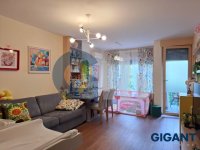 Nekretnina: ZVEZDARA Ravanička ID: 9829037