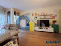 Nekretnina: ZVEZDARA Ravanička ID: 9829037