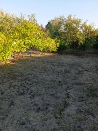 Nekretnina: Avala, Trešnja,  plac 17 ari , gradsko građ.zemljište