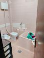 Zemun, Ševina, izdavanje, komforan 1.0 stan ID#10697