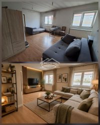 Nekretnina: Zvezdara - Veliki Mokri Lug - 260m2+3a ID#26014