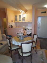 Nekretnina: Sunčana padina, Mile Jevtović, 28m2+T 18m2 ID#1723