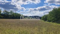Nekretnina: Gradjevinsko zemljište u Dučini, Sopot, Kosmaj ID#8026